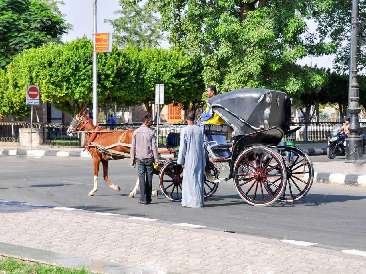 Visita Guiada Por Asuán Tour Privado VIP en Coche de Caballos