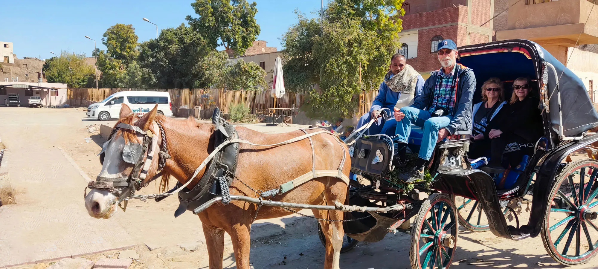 Visita Guiada Por Asuán Tour Privado VIP en Coche de Caballos
