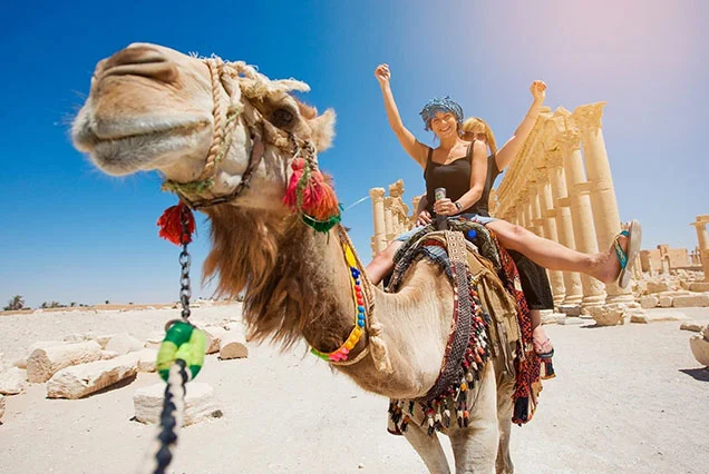 Paseos en Camello en Luxor: Aventura en la Ribera Occidental