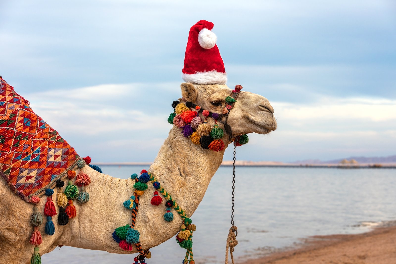 Navidad en Egipto: Viajes de Lujo con Bastet Travel