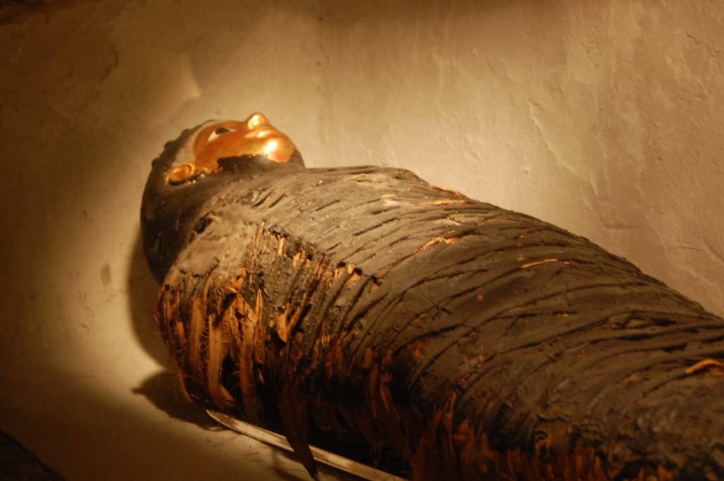 Proceso de Momificación: Historia y Secretos de Egipto