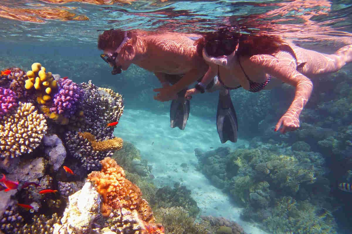 Buceo y snorkel en el Mar Rojo de Egipto - Guía Completa