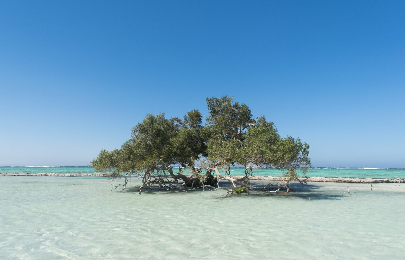 Wadi El Gemal En Marsa Alam: Donde el Desierto Abraza el Mar